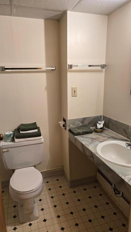 een badkamer met toilet en wastafel bij Black Cat Guest Ranch in Brule Mines