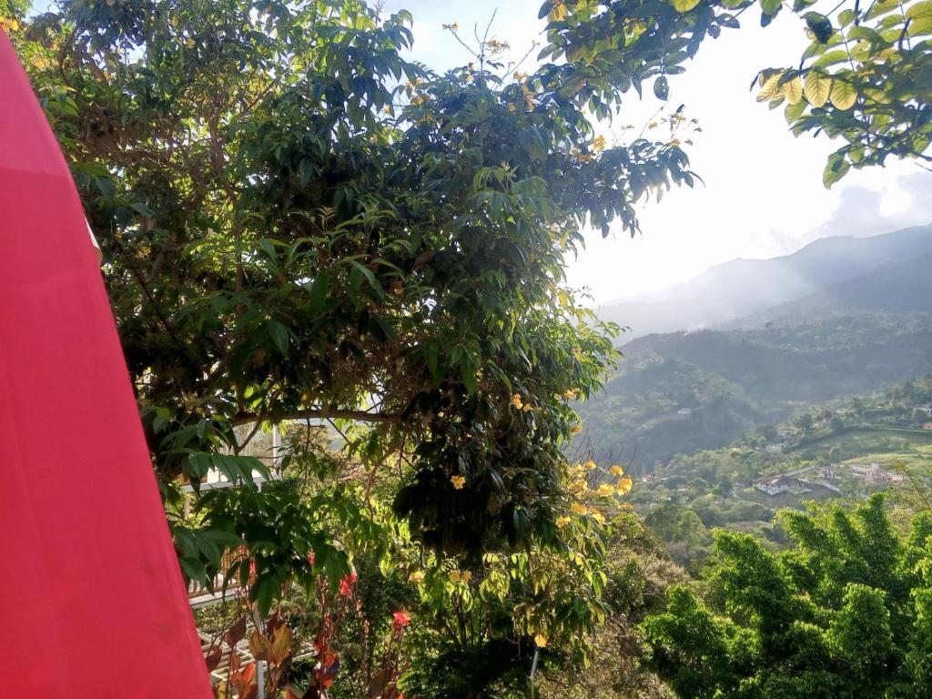 Cabaña tipi sapo con vista a la montaña في سيلفانيا: شجرة مثمرة ذات منظر خلاب