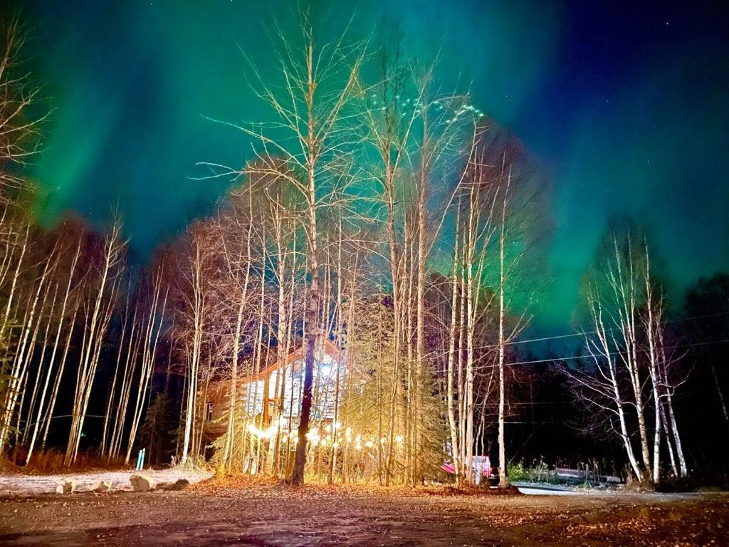 Riverfront, Authentic, Luxury Log Cabin-Bison في واسيلا: صورة للأضواء الشمالية بين الأشجار