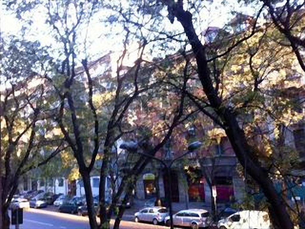 Romantic & Artistic Apartment - 12