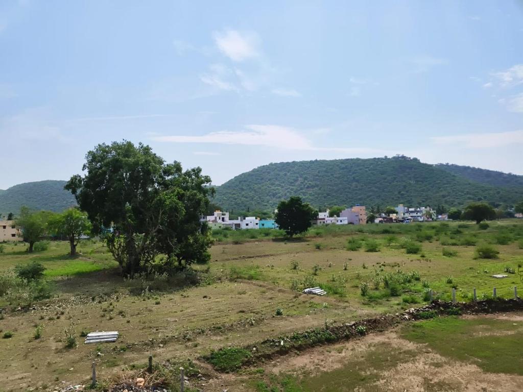 Naturlandskabet i nærheden af resortet