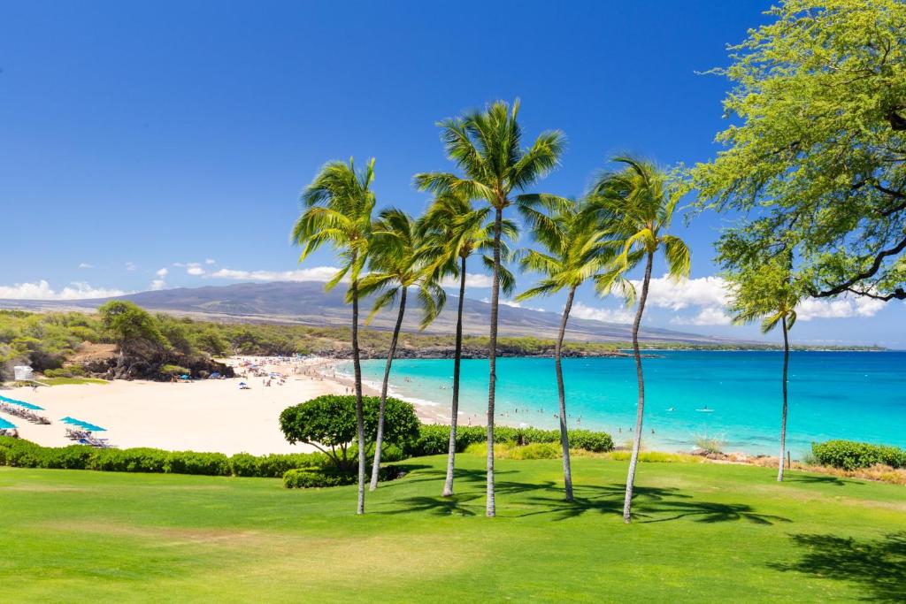 a group of palm trees on a beach at ❤PiH❤ Hapuna Beachfront Bliss Beachfront Steps From Ocean B29 in Hapuna Beach