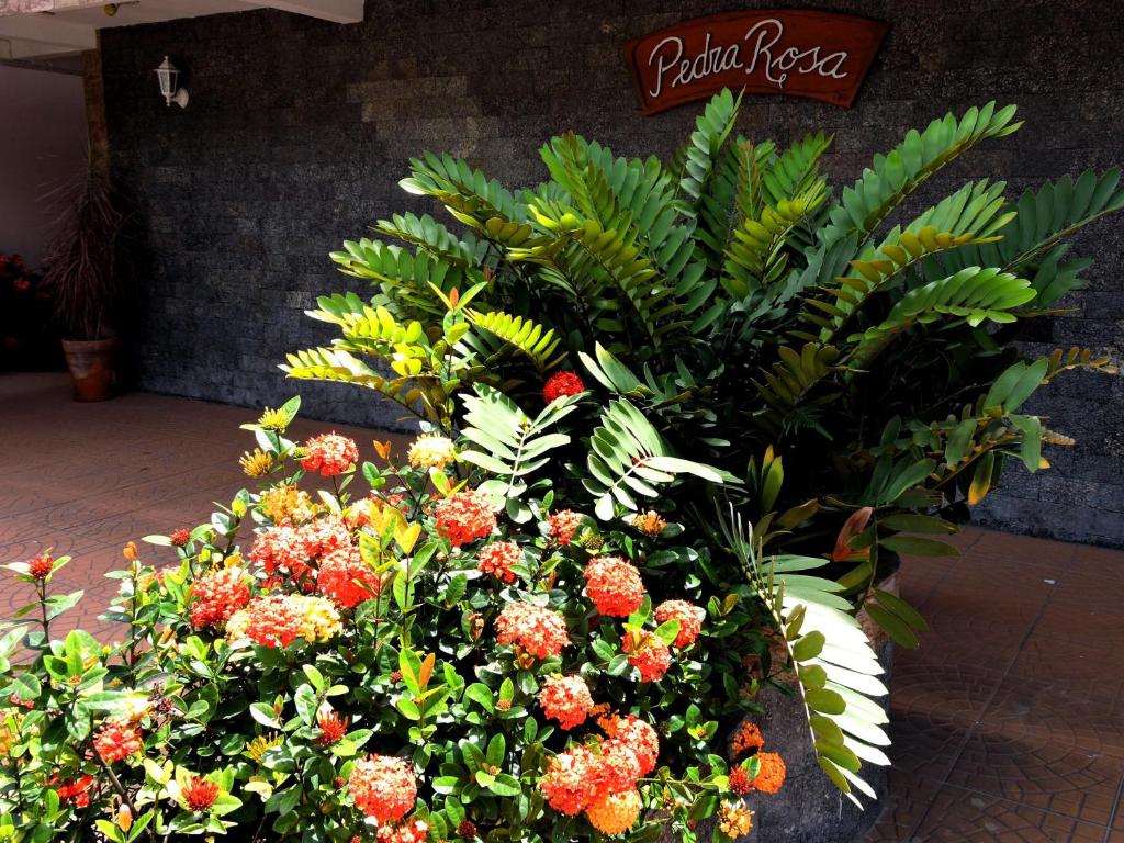  Pousada Pedra Rosa