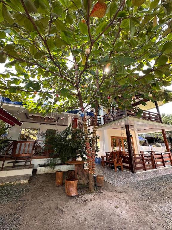 a building with a tree in front of it at Tirso and Nora's Inn in General Luna