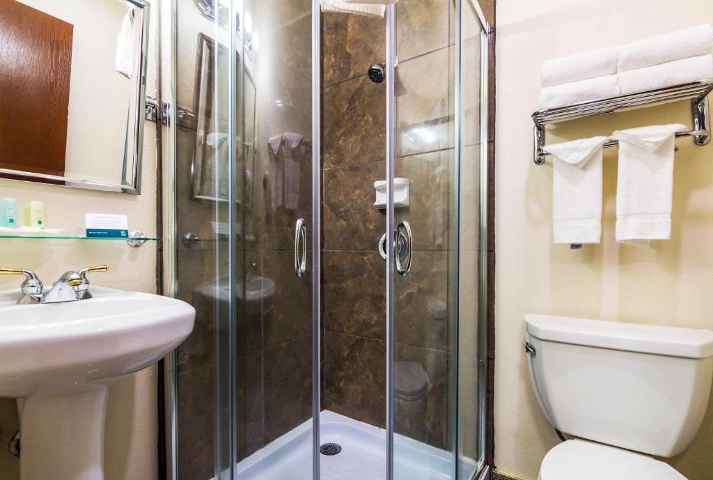 Quality Inn & Suites Lacey Olympia photo