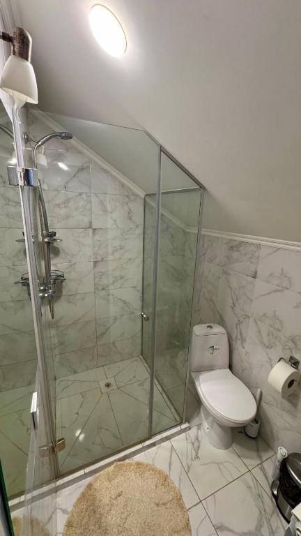 a bathroom with a glass shower and a toilet at Чумацький табір in Dryglov