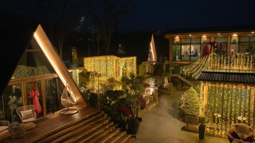 Φωτογραφία από το άλμπουμ του Ikalto Woods σε Τελάβι