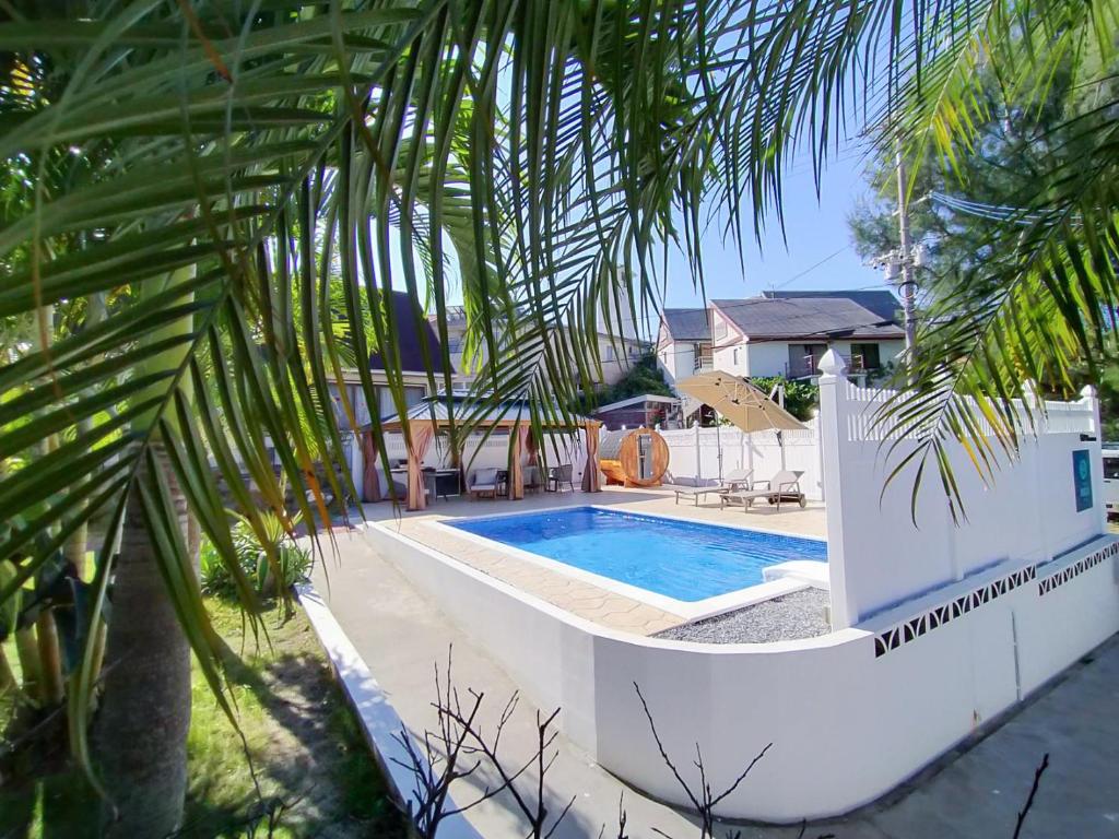a swimming pool next to a house with a palm tree at Villa MILA ONNA in Onna