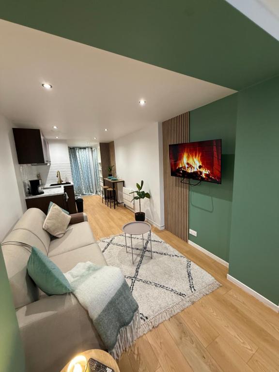 a living room with a couch and a fireplace at Studio Bagneux Bourg la Reine in Bagneux