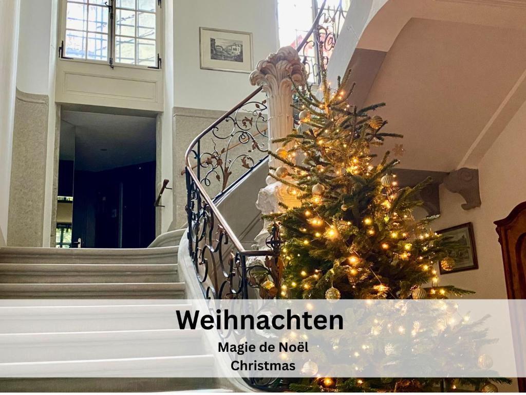 Maison de Castella next to Cathedrale في فريبورغ: شجرة عيد الميلاد على درج المنزل