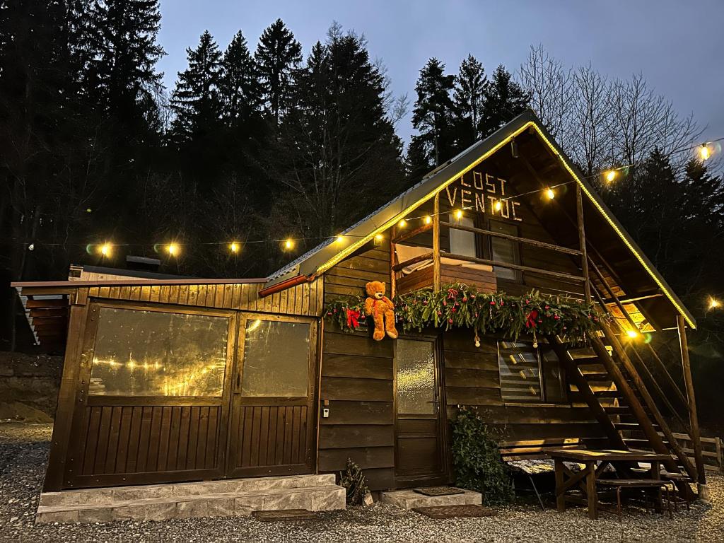 een klein gebouw met een teddybeer op het dak bij Cabana LoSt Ventoc in Vulcan