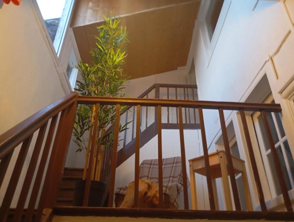 einen Flur mit einer Treppe mit Pflanze in der Unterkunft Maison atypique centre historique in Auch