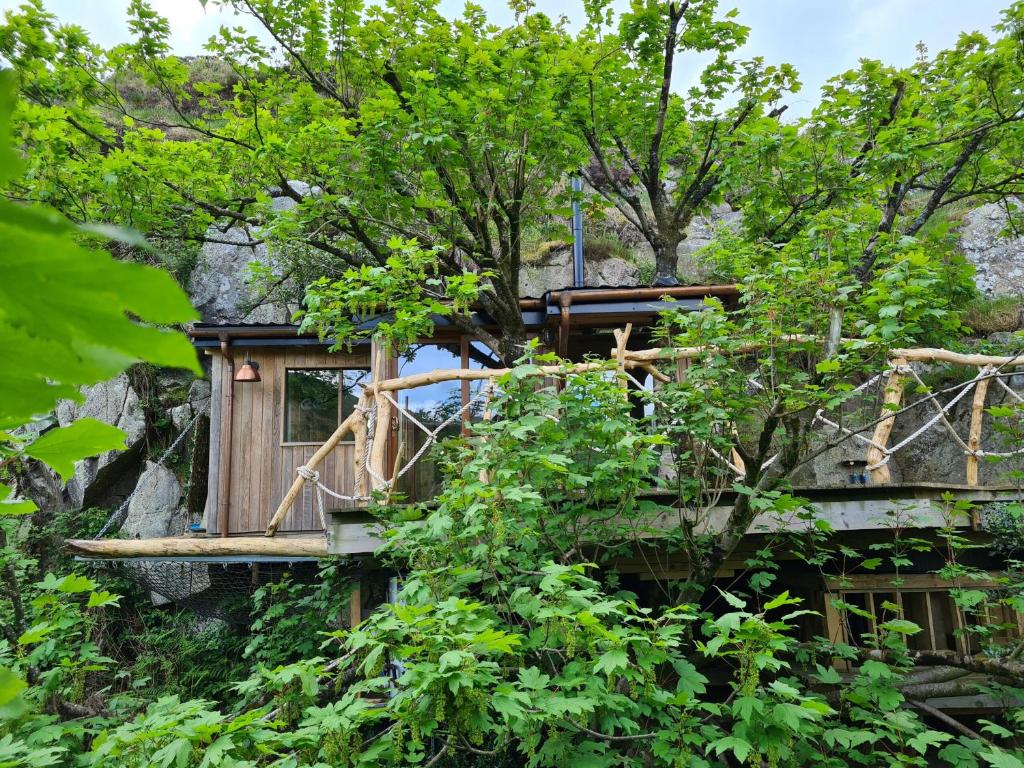 Κήπος έξω από το Balance Treehouse