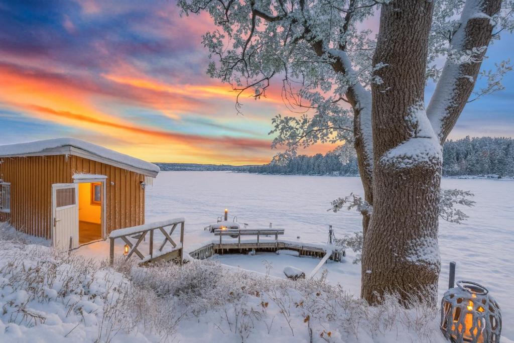a cabin in the snow next to a tree at Waterfront Cabin - 15 Minutes from Downtown Oslo in Oslo