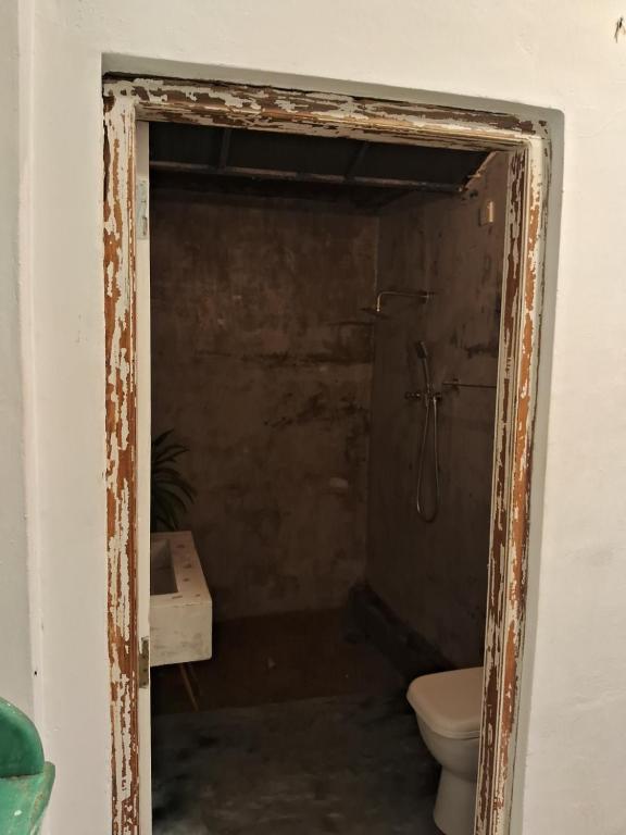 een badkamer met een douche en een toilet. bij Ceylonza Deluxe in Nikawatawana