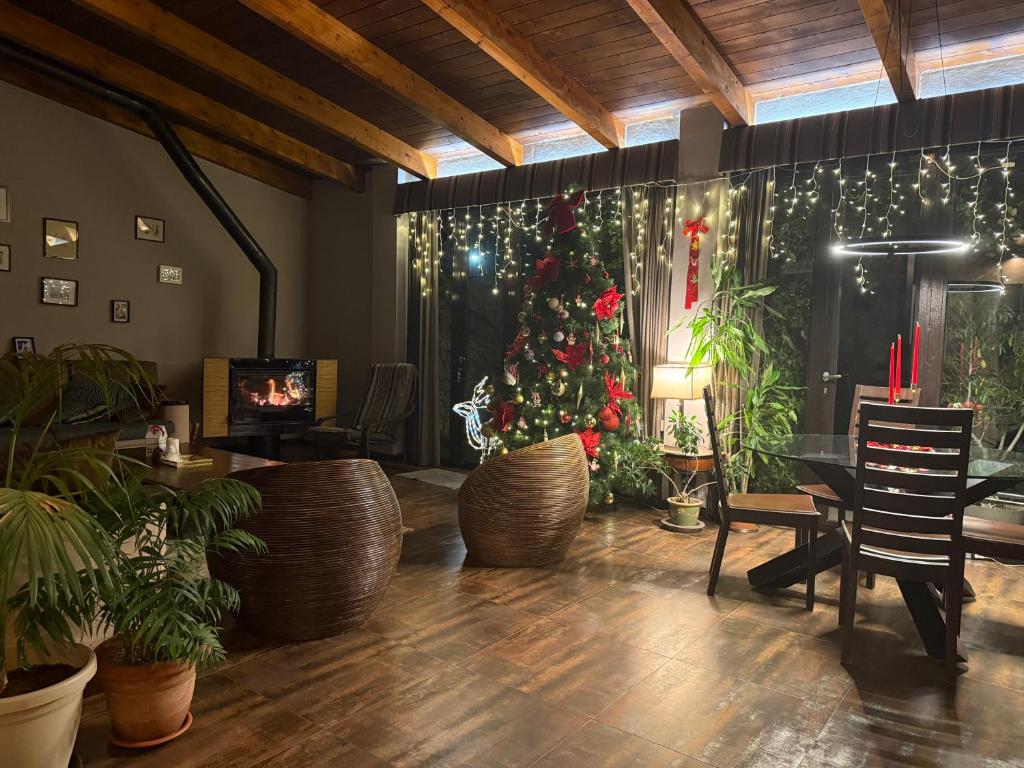 Khu vực ghế ngồi tại Casagiardino Sofía