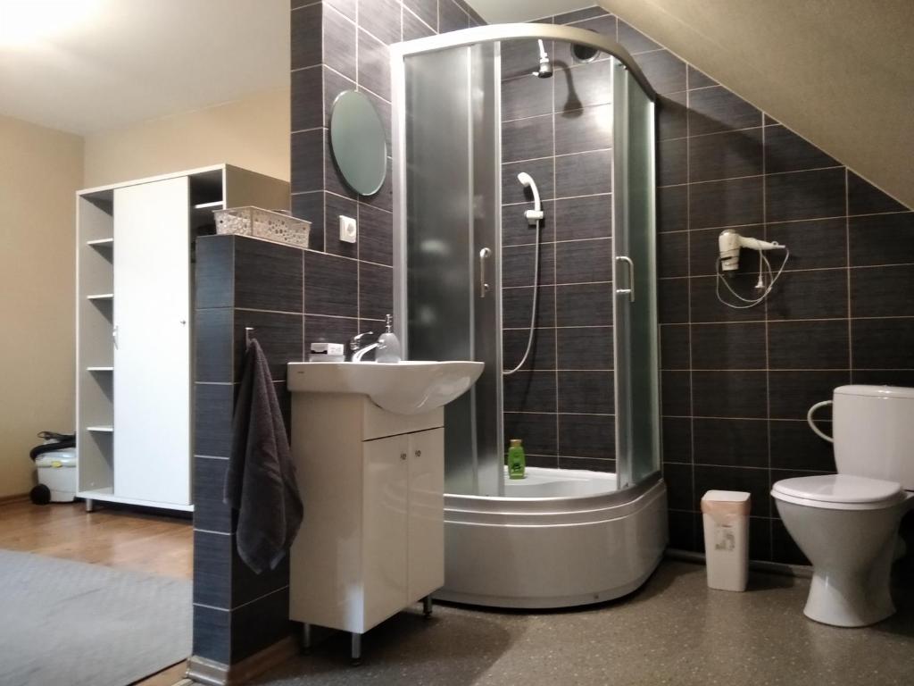 L apartamentai su nemokamu parkingu في شياولياي: حمام مع دش ومغسلة ومرحاض