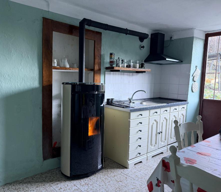 cocina con fogones en el medio de una habitación en I cinque viaggiatori, en Ceres