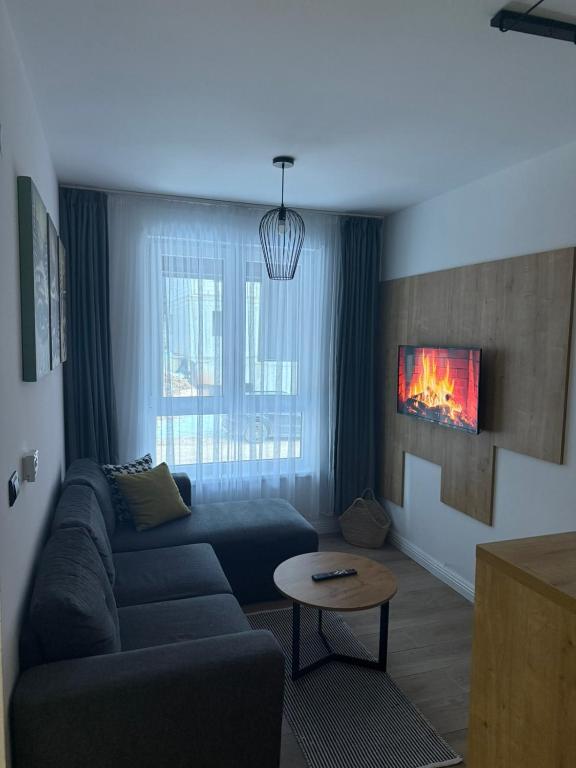 a living room with a couch and a fireplace at Apartman ISKRA Villa Mont in Jahorina