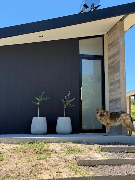 Alquimia House tu refugio en Santa Ana