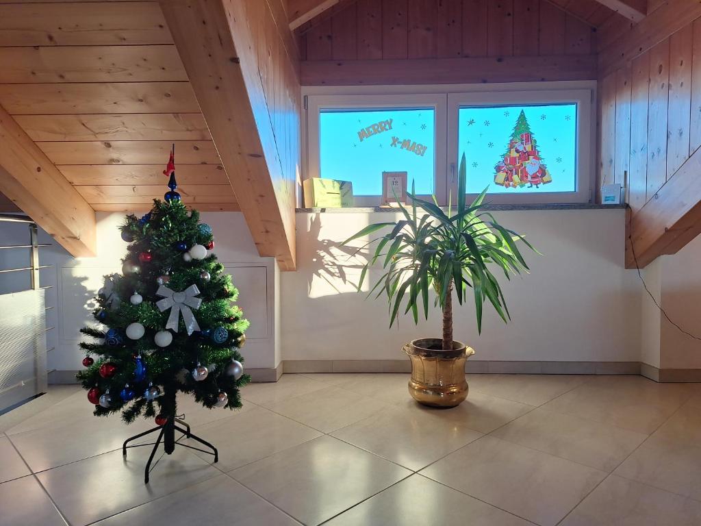 莱尼Casa Matilde的房间里有一棵圣诞树，窗外是圣诞主题的窗户。