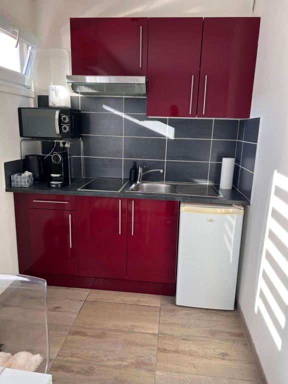 Cuisine ou kitchenette dans l'établissement STUDIO 50m de gare de st-louis