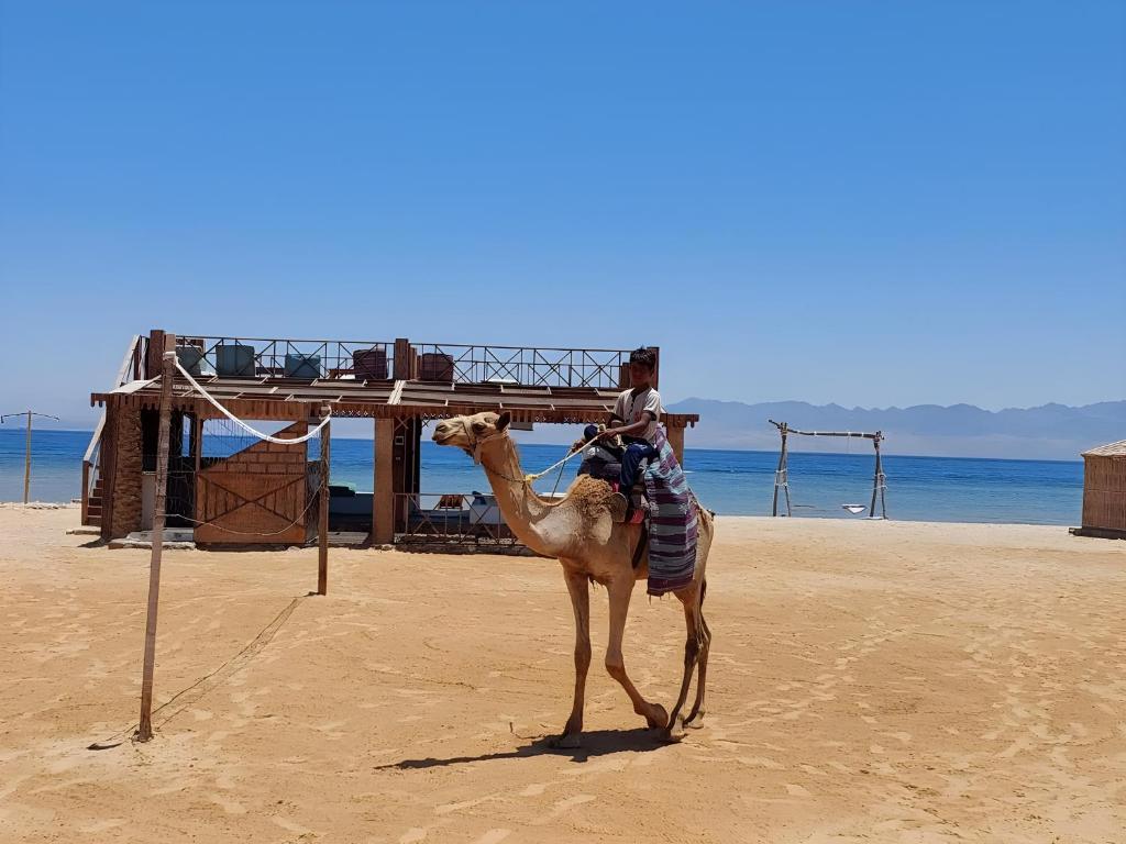 Φυσικό τοπίο κοντά σε αυτό το θέρετρο