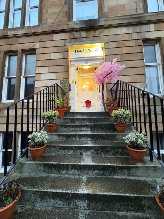 a stairway leading to a front door with potted plants at Piccolo Guest House in Glasgow