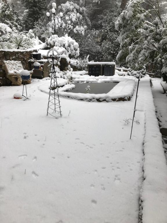 un giardino coperto di neve con un laghetto di La Huerta de Chocolate Mínimo 2 años larga duración ad Albalate de Zorita
