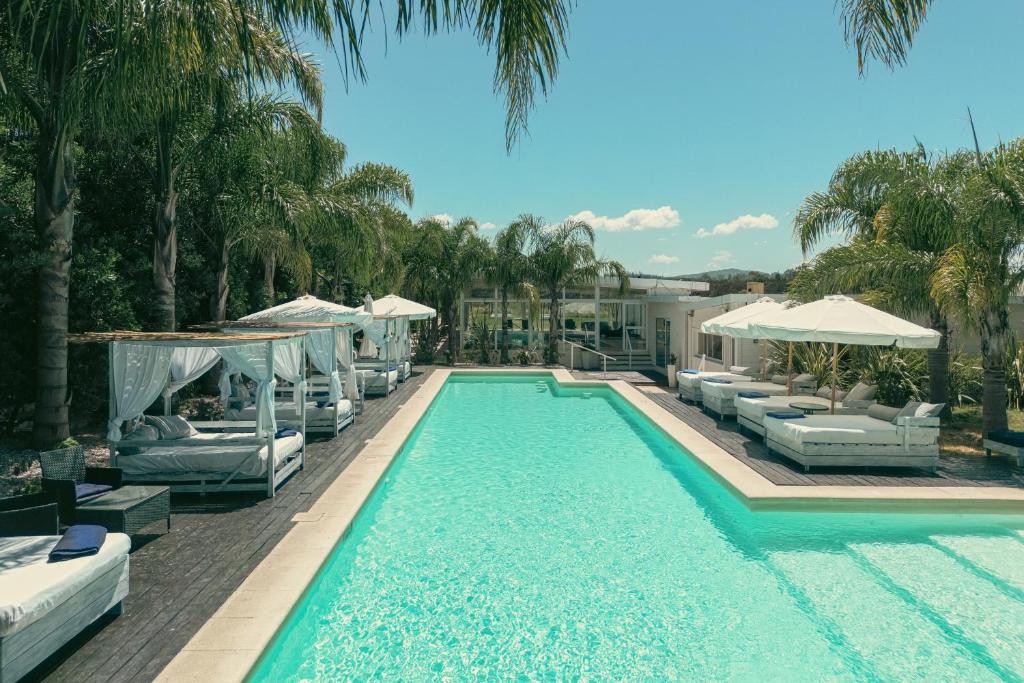 Skyblue Apart Hotel Punta Colorada في بيريابوليس: حمام سباحة مع كراسي استلقاء ومظلات