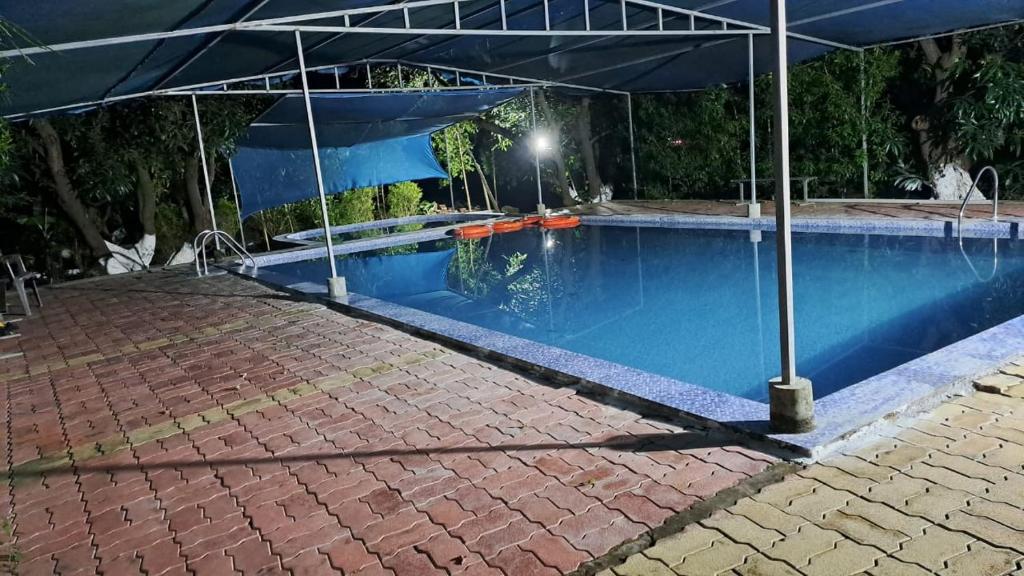 萨三吉尔the levels home的蓝色的游泳池,上面有雨伞