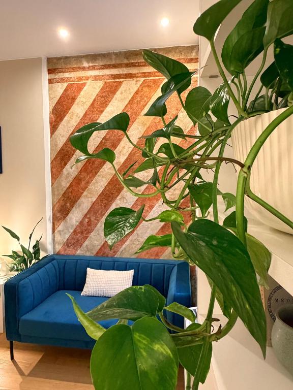 a blue couch in a room with plants at Portico 33 in Treviso
