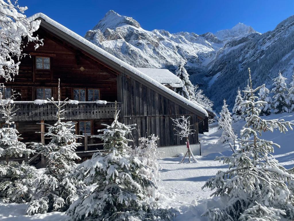 uma cabana com árvores cobertas de neve em frente em Alpen Charme - Chalet d'Hôtes et SPA em Gsteig