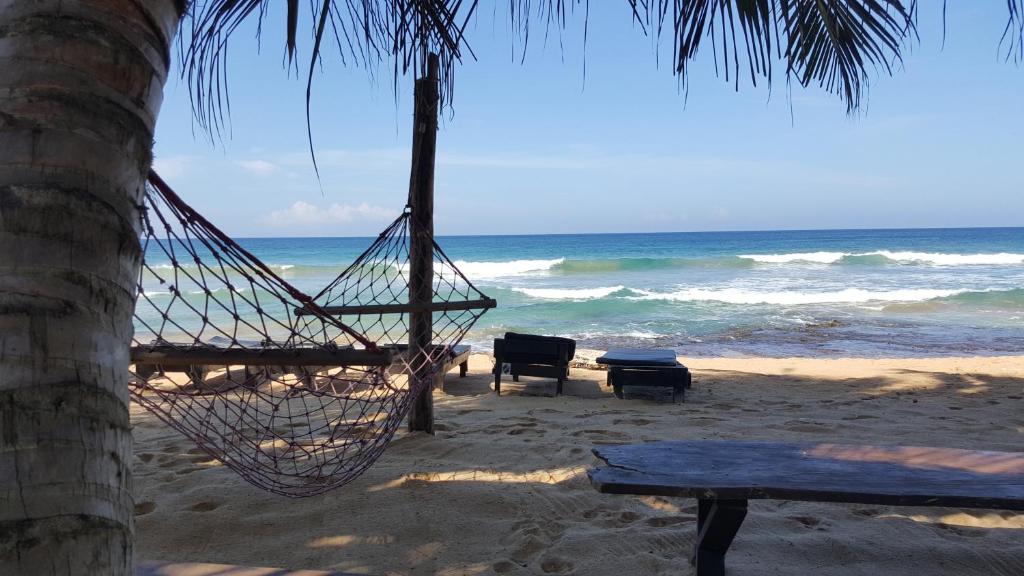 a hammock hanging from a palm tree on a beach at The Den Guest House in Hikkaduwa