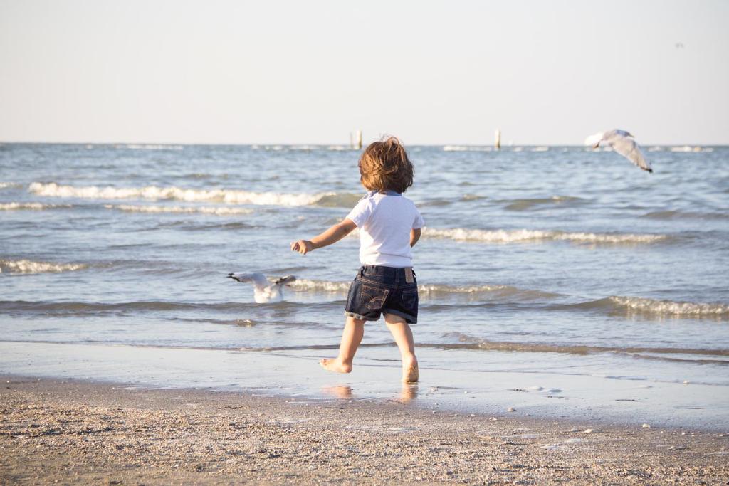 a young child running on the beach with a bird at Hotel Sogno in Cesenatico