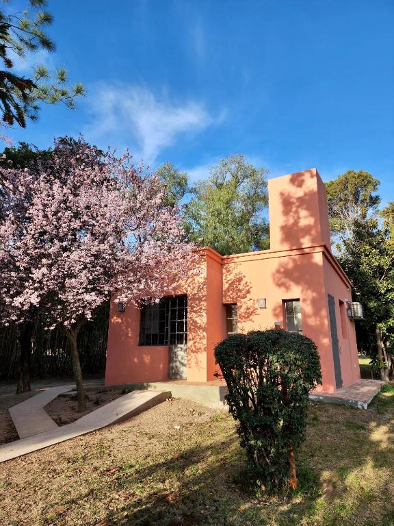 a house with a flowering tree in front of it at Cabañas Rincon del Champa in San Javier