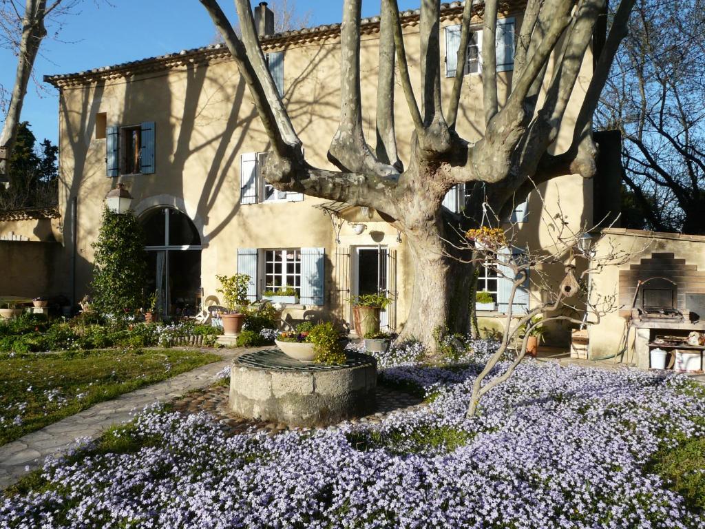 a tree in front of a house with purple flowers at La Petite Seigneurette in Villeneuve-lès-Avignon