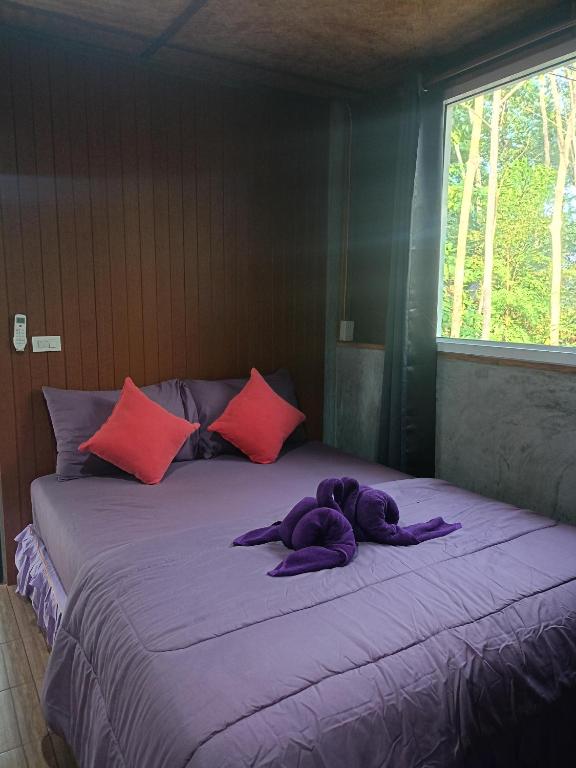 Dahla Lanta Hut - 10