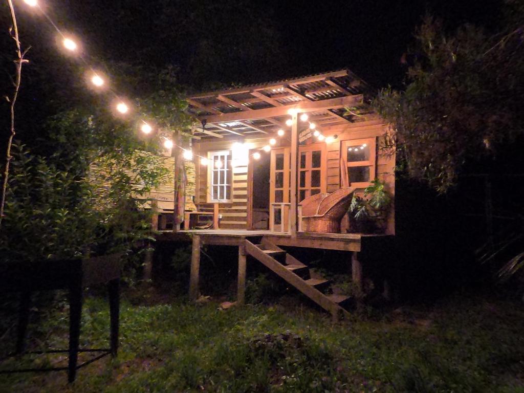 Vườn quanh cabaña del monte