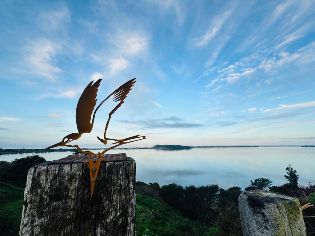 Naturlandskabet i nærheden af kapselhotellet