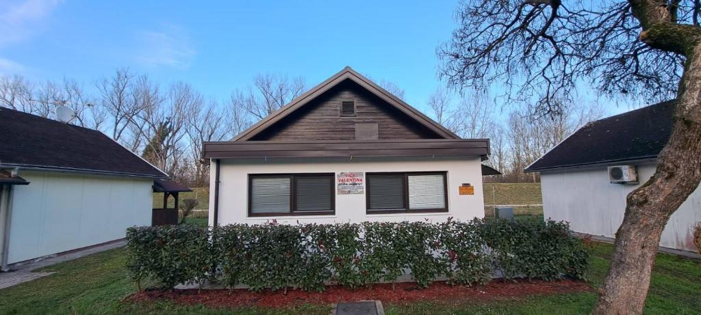 una casa blanca con un seto delante de ella en Vila VALENTINA, en Čatež ob Savi