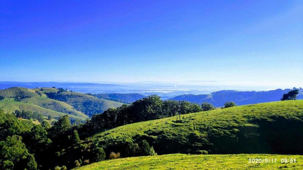 a green hillside with trees on top of it at Fortuna views farm stay in Jumbuk