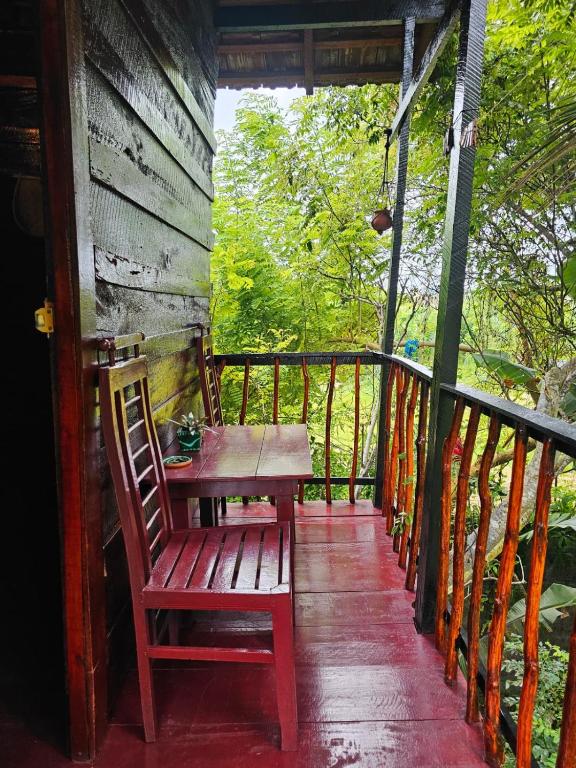 Bird House Mirissa - 15