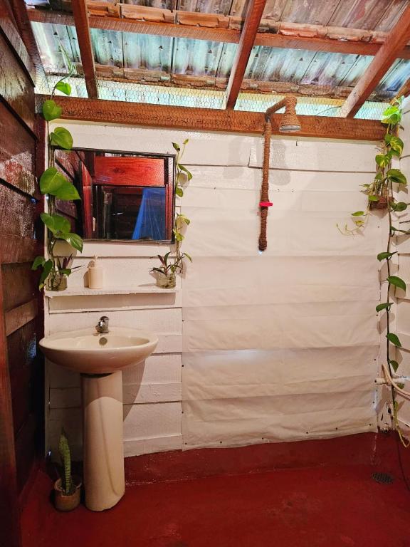 Bird House Mirissa - 10