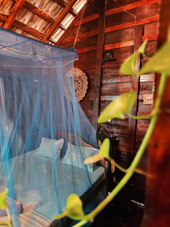 Bird House Mirissa - 19