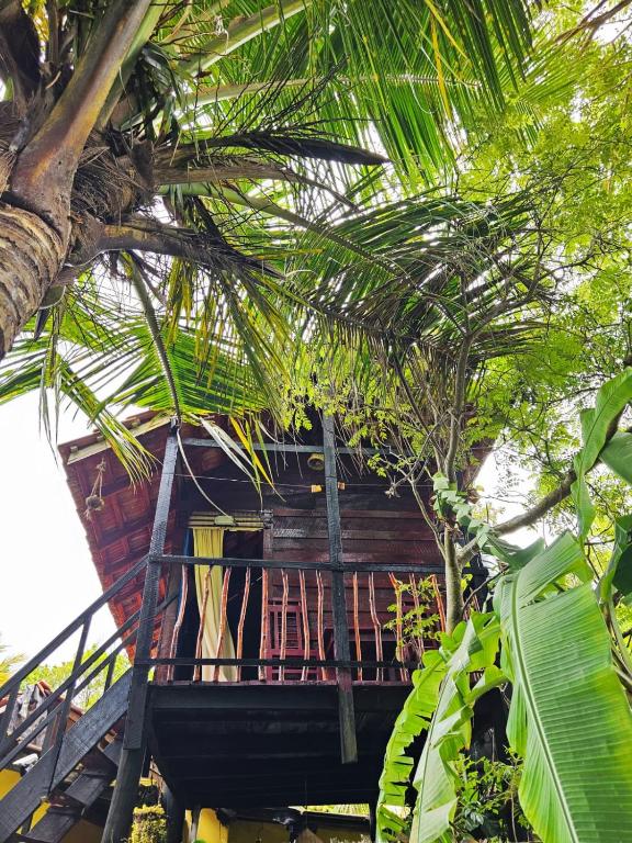 Bird House Mirissa - 16