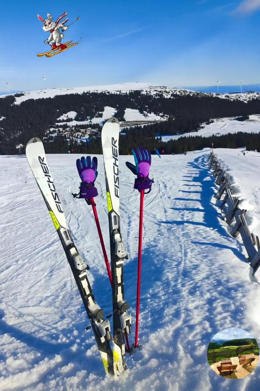 ObergöselOlmhaus mit Sauna und E-Bikes的滑雪坡上的一组滑雪板