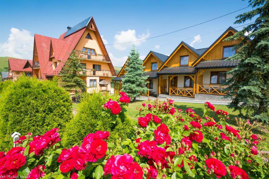 DW KINGA i DOMKI في Kacwin: مجموعة من المنازل مع الزهور الحمراء في الفناء