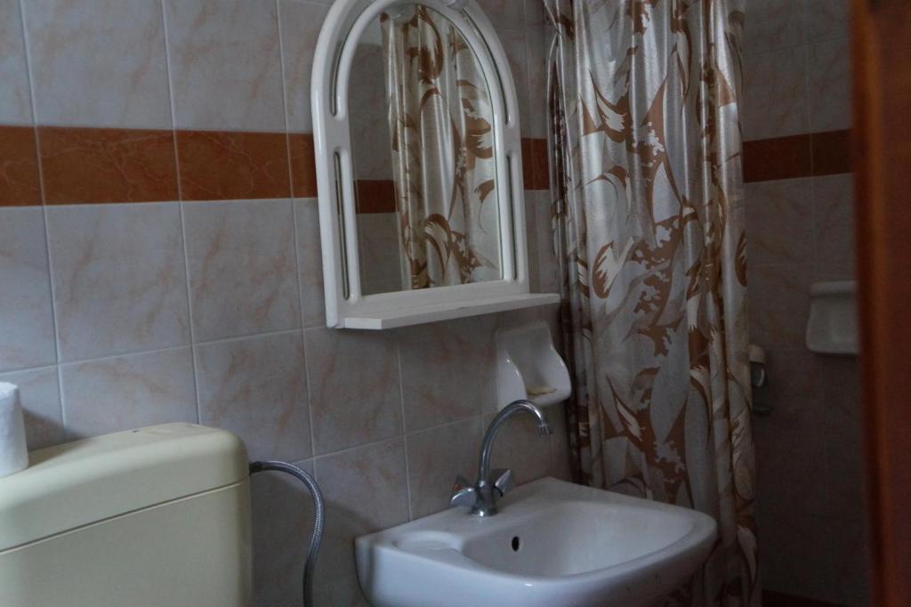 uma casa de banho com um lavatório, um espelho e um WC. em Filippos em Agios Kirykos