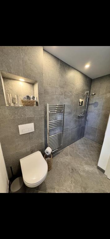 a bathroom with a toilet and a shower at Holiday by Chelly in Zeitz
